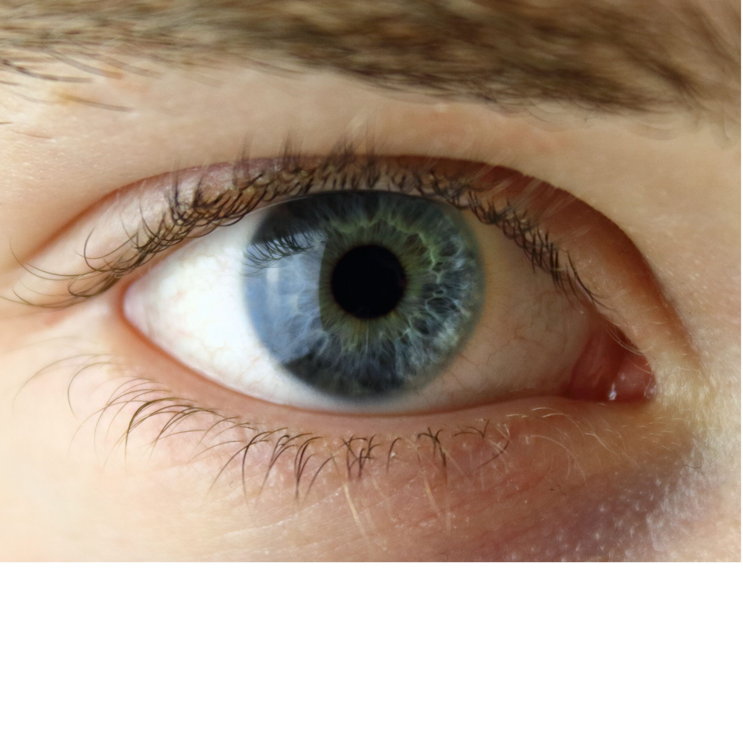 Ophthalmology Series Part 1 – Eye Fundamentals