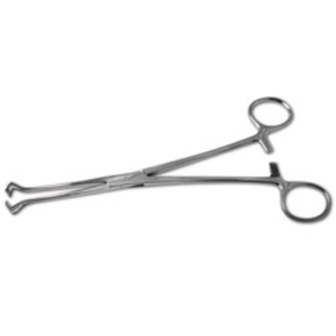 The History of Common Surgical Instruments